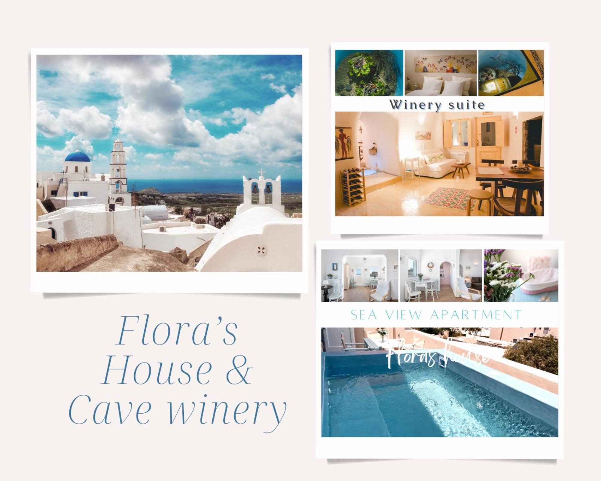 Villa Flora'S House & Cave Winery Pýrgos Exterior foto
